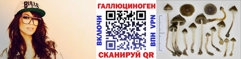 Купить Партизанск Галлюциногенные грибы GOLDEN TEACHER